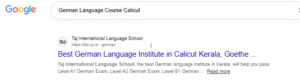 german-language-seo-portfolio
